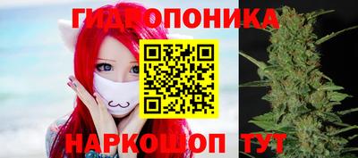 молекула духа Сланцы
